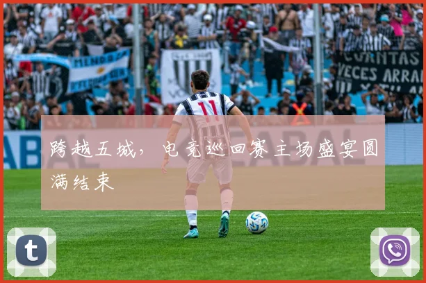 跨越五城,电竞巡回赛主场盛宴圆满结束